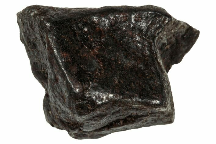 Gibeon Iron Meteorite ( g) - Namibia #336074